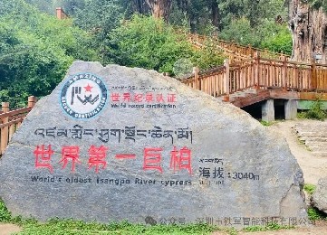 西藏林芝巴结巨柏自然保护区上线铁军智能景区闸机系统