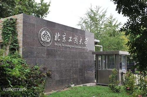 北京重点建设研究型大学——北京工商大学翼闸摆闸项目