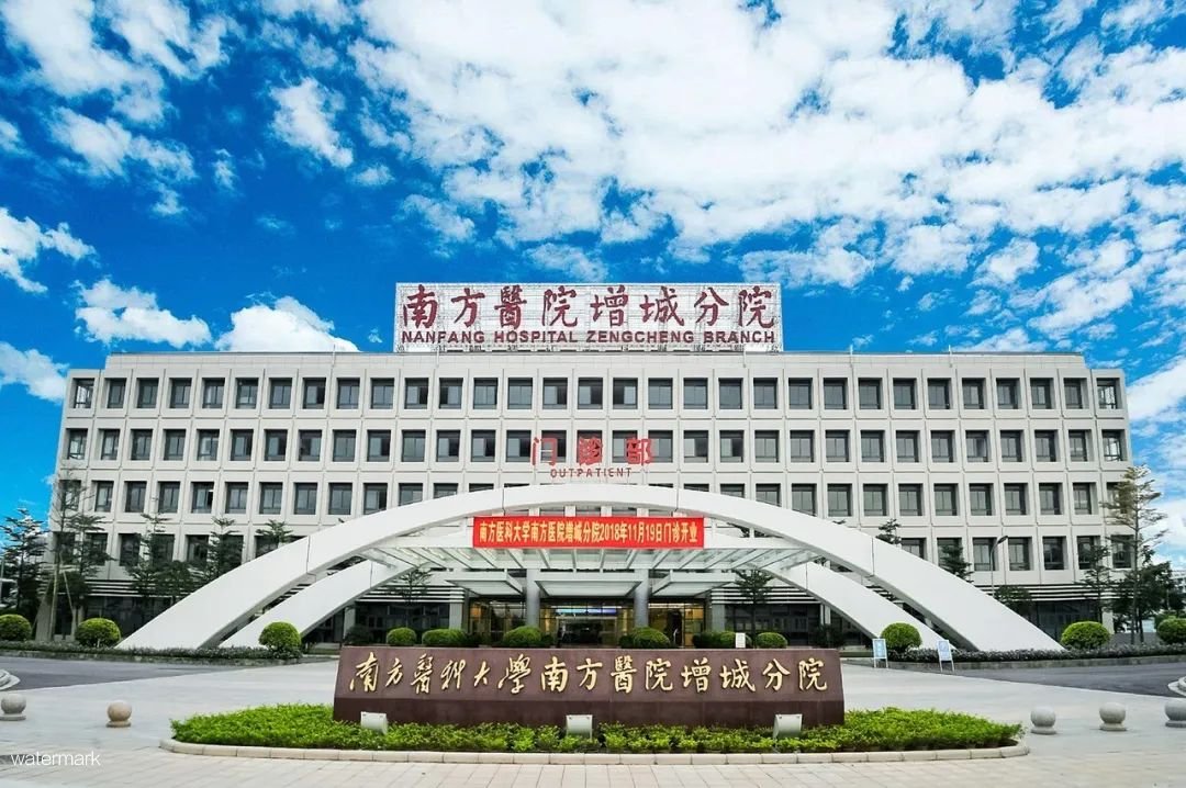 南方医科大学——南方医院增城分院摆闸项目