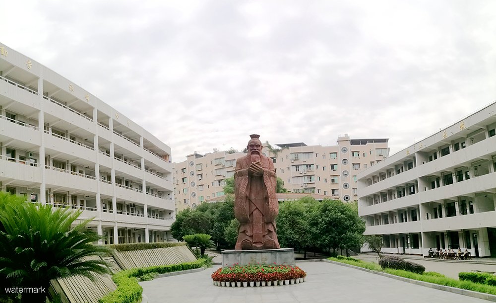 四川省重点中学——泸县五中测温人脸识别斜八角翼闸及校园微信系统项目