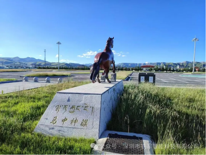 九色甘南格萨尔夏季“蒋朵杯”赛马会-启用铁军闸机!