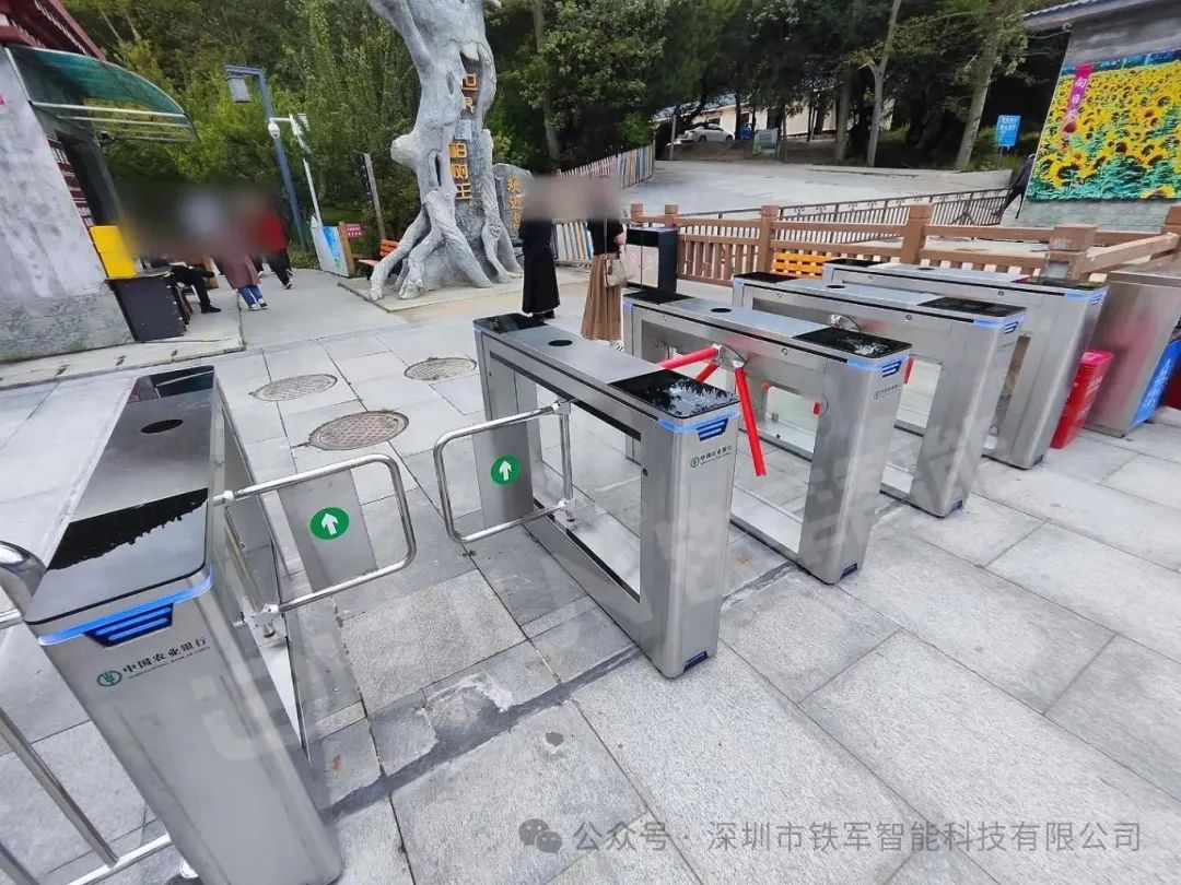 1764728100153894.jpg 5.jpg