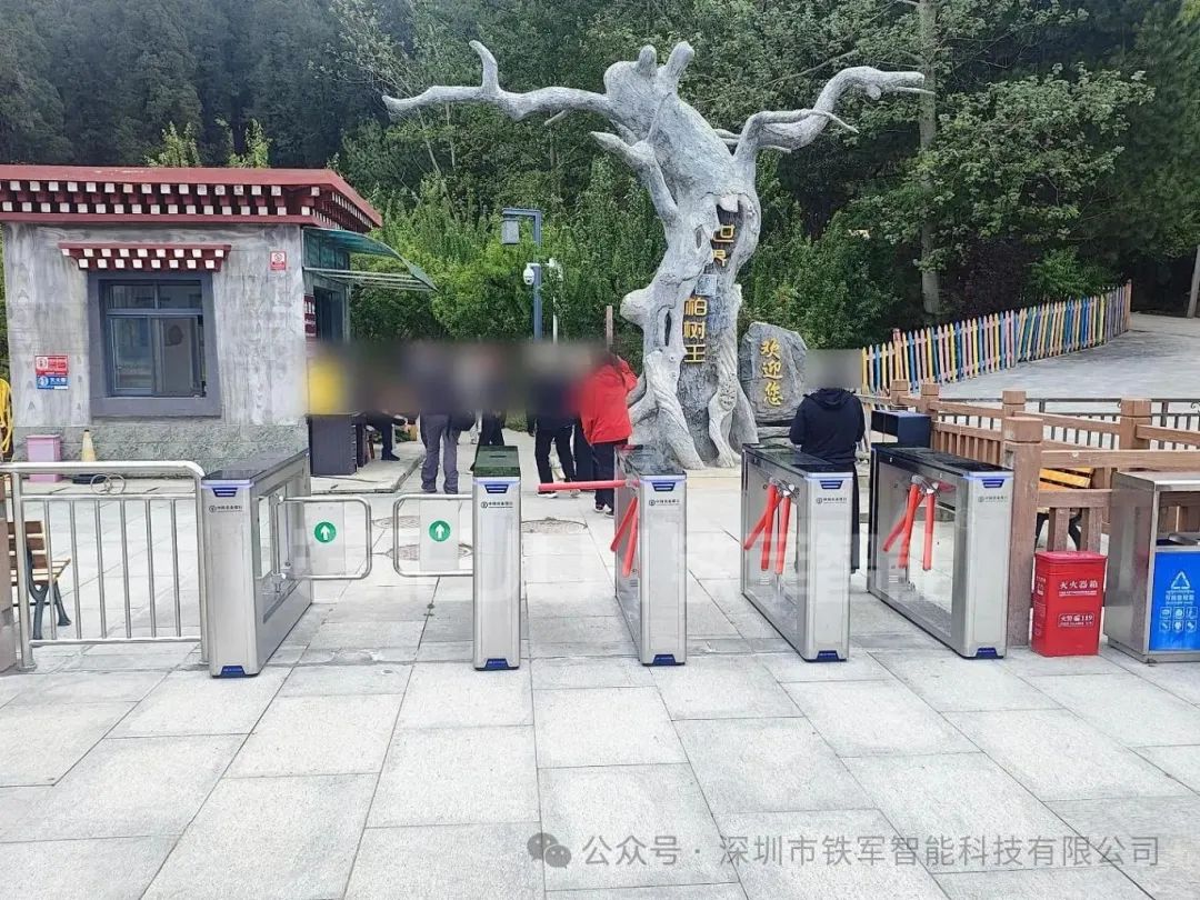 1767754222807315.jpg 4.jpg